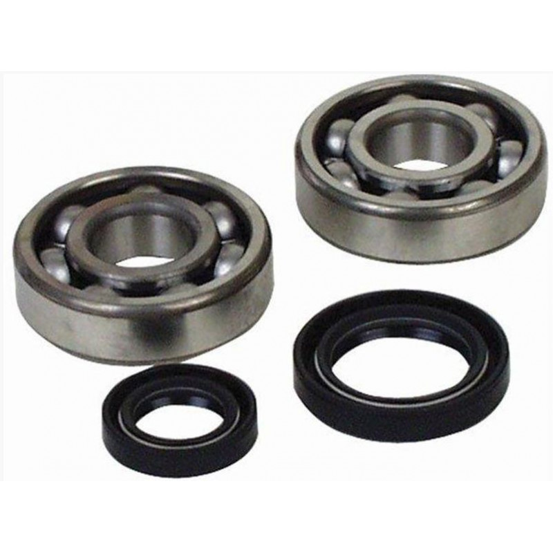 KIT ROULEMENTS ET SPI DE VILEBREQUIN ALL BALLS TRAIL BOSS 330 03/14