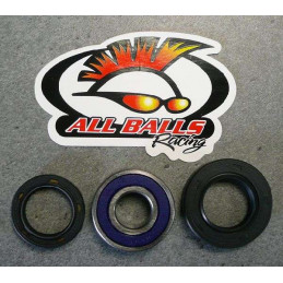 KIT ROULEMENTS 350 RAPTOR COLONNE DIRECTION