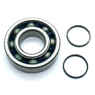 KIT ROULEMENTS VILEBREQUIN HOT RODS YFM 450 WOLVERINE 06/10 