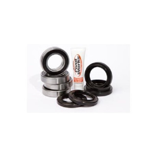 ROULEMENTS ROUE AVANT PIVOT WORKS 450 KODIAK ET JOINTS
