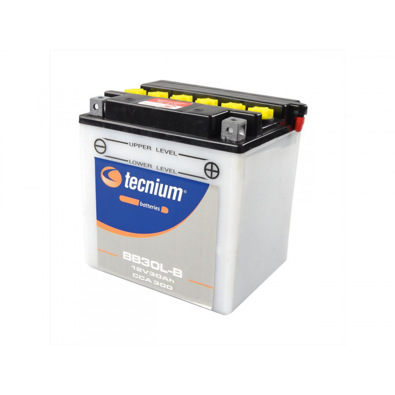 Batterie TECNIUM BB30L-B conventionnelle livrée avec pack acide 550-600-700-800 SPORTSMAN Batterie TECNIUM BB30L-B conventionnelle livrée avec pack acide 550-600-700-800 SPORTSMAN