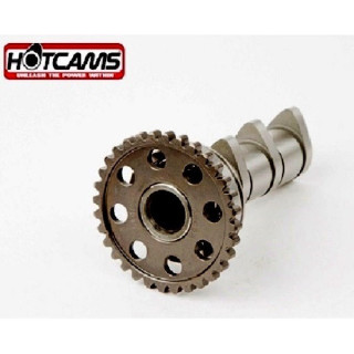 ARBRES A CAMES HOTCAMS YFZR 450  STAGE 2