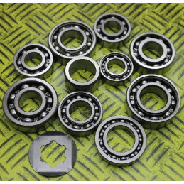 KIT ROULEMENTS DE BOITE DE VITESSE 350 RAPTOR HOT RODS