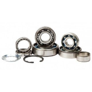 KIT ROULEMENTS DE BOITE DE VITESSE KFX 450 HOT RODS