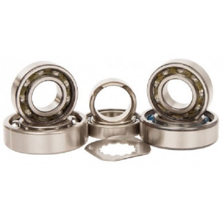 KIT ROULEMENTS DE BOITE DE VITESSE 450 YFZ HOT RODS
