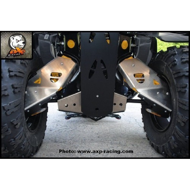 PROTECTION TRIANGLE ARRIERE ALU/PHD AXP RENEGADE 1000 12/16