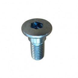 4 VIS DE SERRAGE POUR DISQUE ARRIERE DE YFZ450-R ET 700 RAPTOR