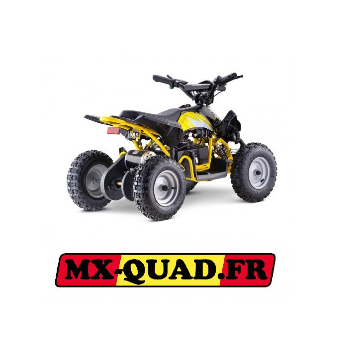 QUAD ENFANT ELECTRIQUE 800W E-REX VERT Edition 2021