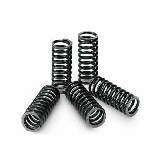 KIT RESSORTS D'EMBRAYAGE STANDARD KFX 400 03/06 TECNIUM
