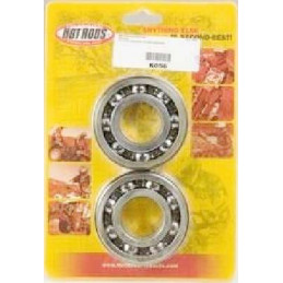 KIT ROULEMENTS 660 RAPTOR VILEBREQUIN 