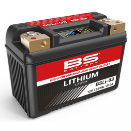 BATTERIE LITHIUM ION LTB9...