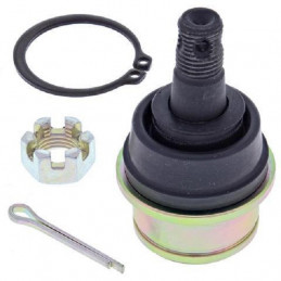KIT ROTULE DE TRIANGLE SUPERIEUR OU INFERIEUR WOLVERINE 450 06/10