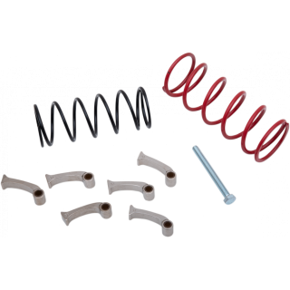 KIT RESSORTS D'EMBRAYAGE EPI CAN AM RENEGADE 1000 2020-2024