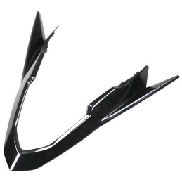 NEZ AVANT CARENAGE...