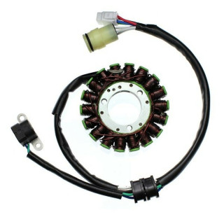 Stator Electrosport Yamaha 250 Big Bear 2007-2009 | MX-Quad