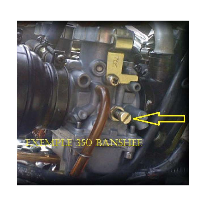 VIS DE RALENTI POUR YAMAHA 200 BLASTER OU 350 BANSHEE