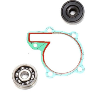 KIT JOINTS ROULEMENT POMPE A EAU 350 BANSHEE