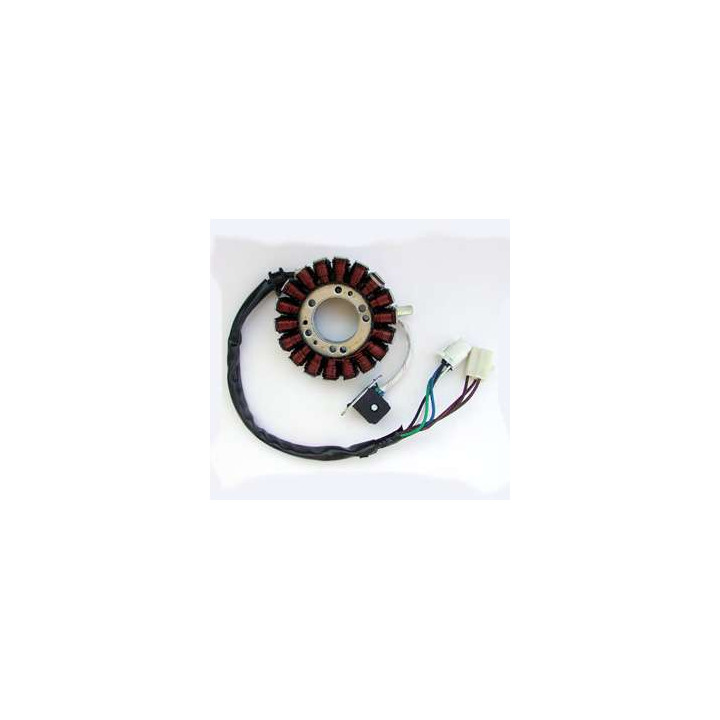 STATOR ALLUMAGE LTR 450