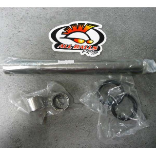 KIT ROULEMENTS  250 RAPTOR BRAS OSCILLANT