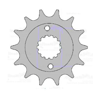 PIGNON 15 DENTS AFAM MXU 250 05/12