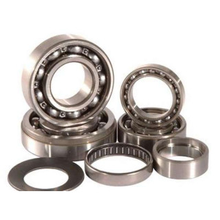 KIT ROULEMENTS DE BOITE DE VITESSE 550 GRIZZLY HOT RODS