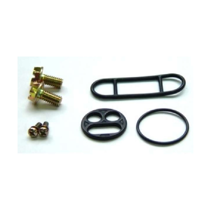 KIT JOINTS REPARATION ROBINET D'ESSENCE 450 WOLVERINE