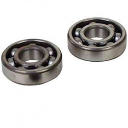 KIT ROULEMENTS ALLBALLS LTR 450 VILEBREQUIN 