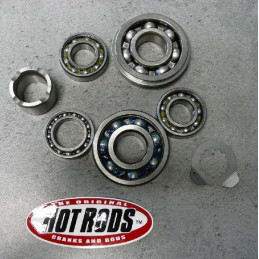 KIT ROULEMENTS DE BOITE DE VITESSE 660 RAPTOR HOT RODS