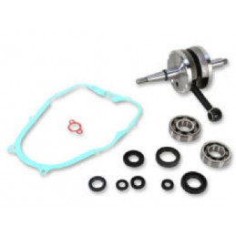 VILEBREQUIN 200 BLASTER RENFORCE WISECO ET JOINTS