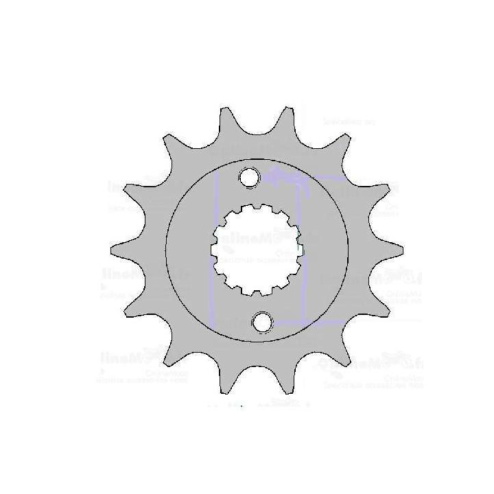 PIGNON 15 DENTS AFAM MAXXER 300 04/14