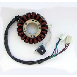 STATOR ALLUMAGE SUZUKI LTR...