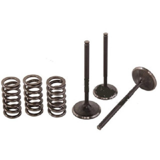 KIT DE CONVERSION SOUPAPE D 'ADMISSION TITANE ACIER YFZ 450 / YFZ 450 R