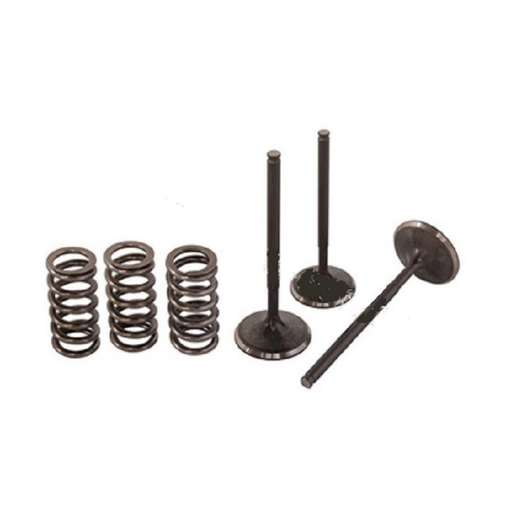 KIT DE CONVERSION SOUPAPE D 'ADMISSION TITANE ACIER YFZ 450 / YFZ 450 R