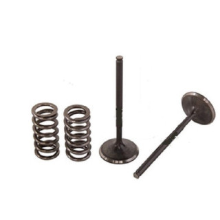 KIT DE CONVERSION SOUPAPE D 'ADMISSION TITANE ACIER YFZ 450 / YFZ 450 R