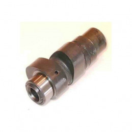 ARBRE A CAMES RAPTOR 350 STAGE 1 04-06